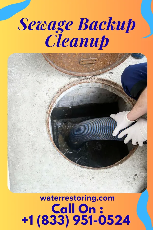 Sewage Backup Cleanup in Brewster, OH